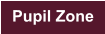 Pupil Zone