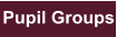 Pupil Groups