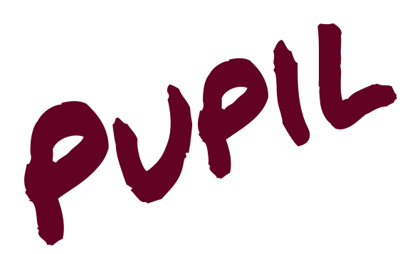 Pupil