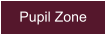 Pupil Zone