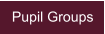 Pupil Groups
