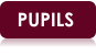 PUPILS